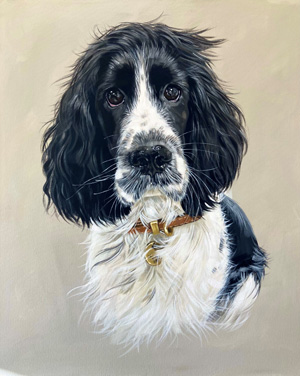 Spaniel - Commission