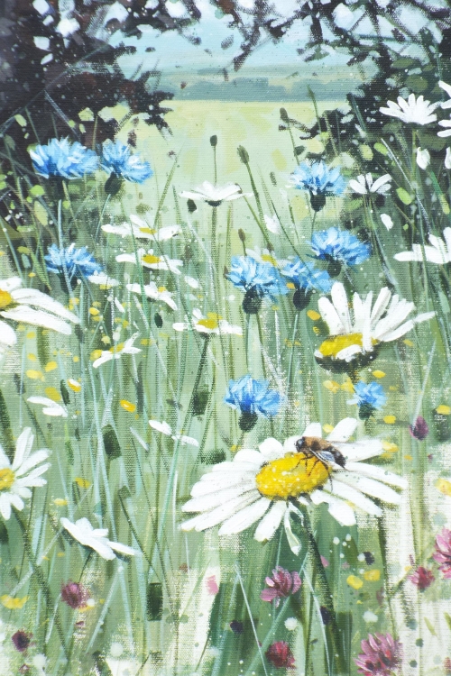 Summer Meadow