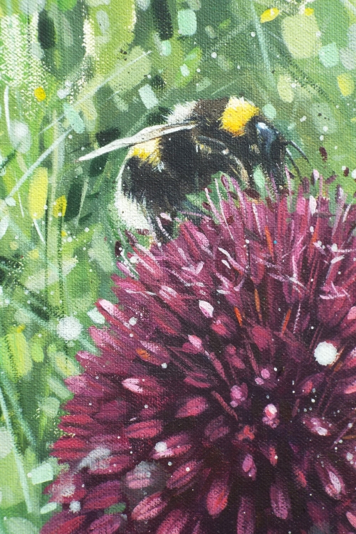 Bee on Allium