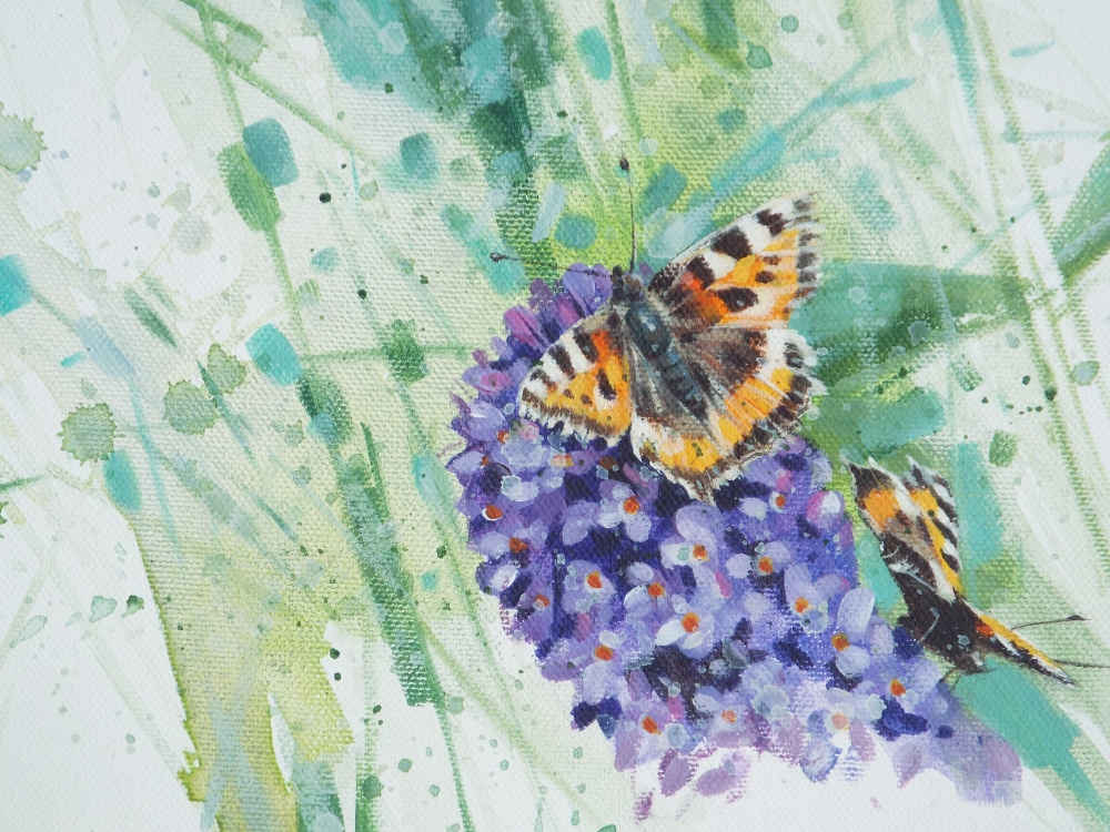 Small Tortoiseshell on Buddleia Small Tortoiseshell on Buddleia