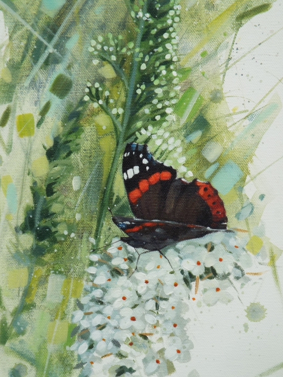 Red Admiral on Angels Wings Red Admiral on Angels Wings