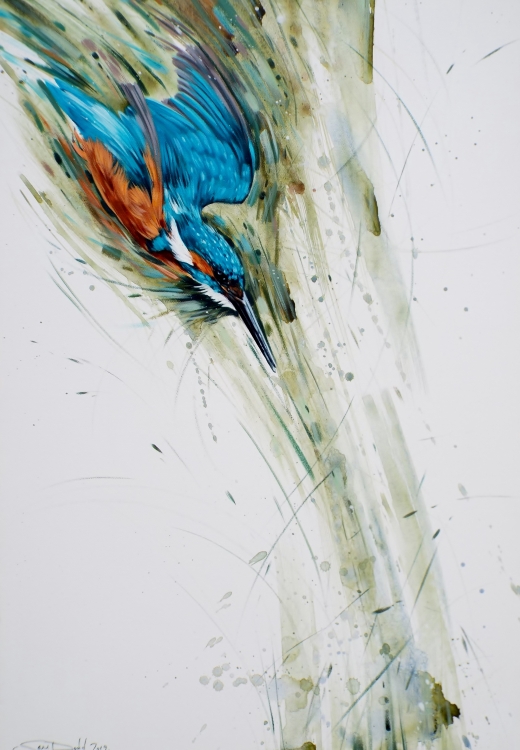 Diving Kingfisher