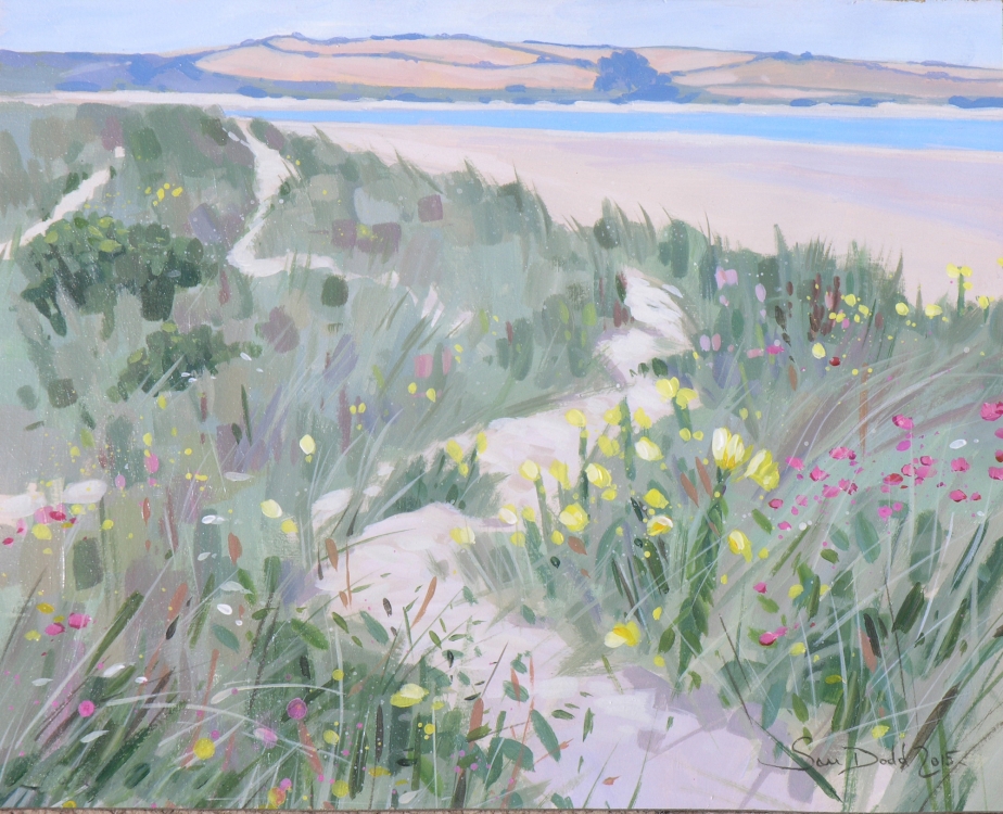 Coast path to Daymer Bay