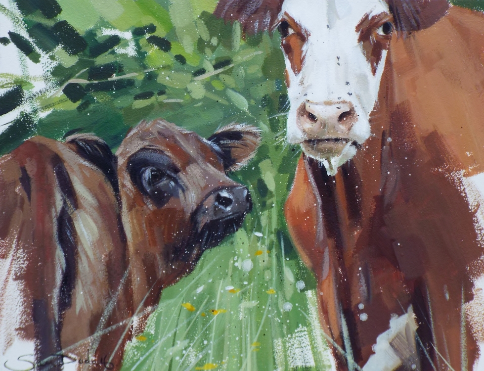 Kingcombe Cows