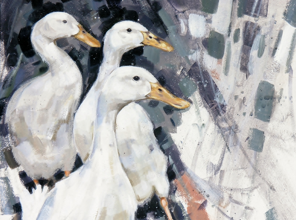 Aylesbury Ducks