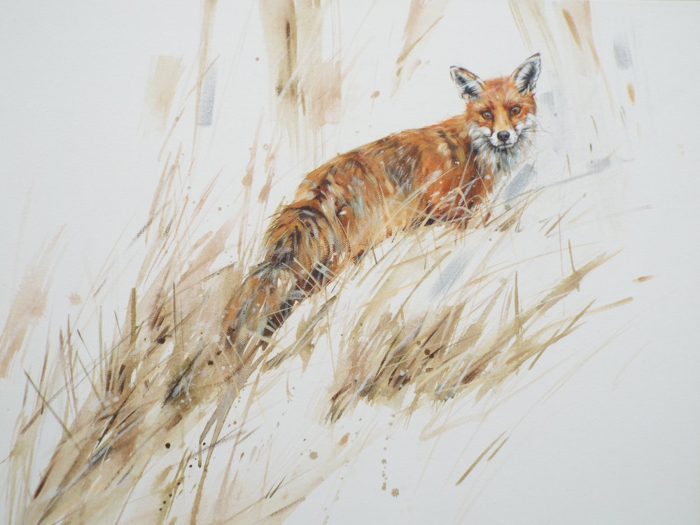 Fox in the Snow