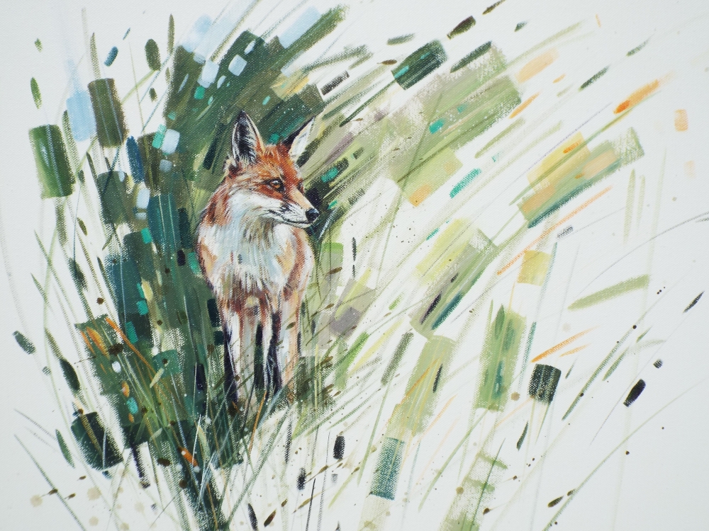 Summer Fox