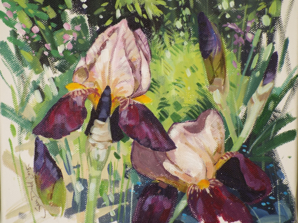 Irises