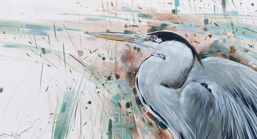 Grey Heron