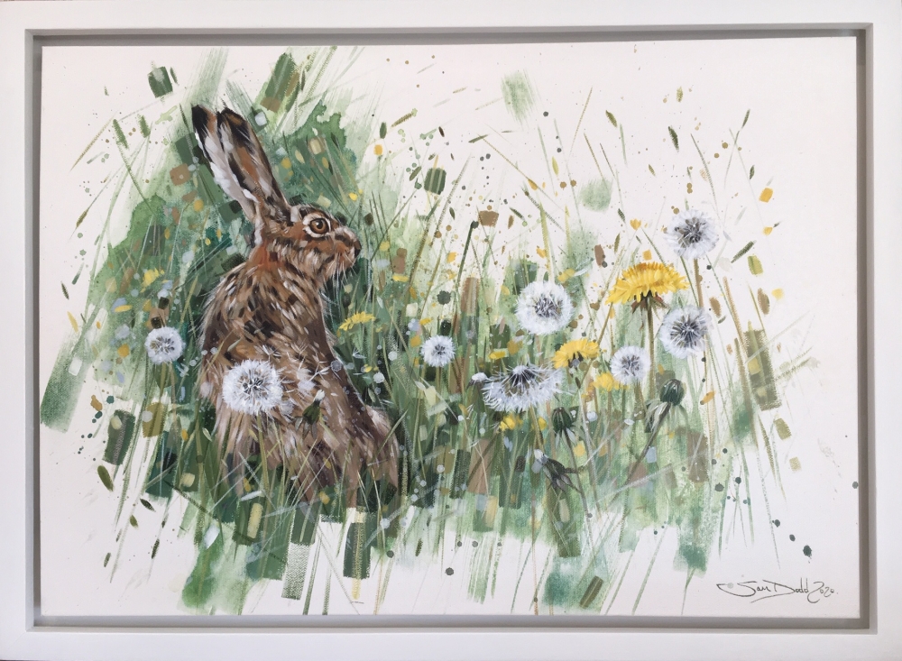 Dandelion Hare (framed)