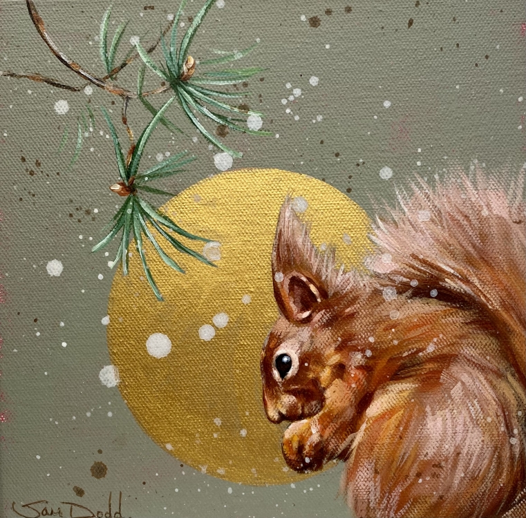 Red Squirrel