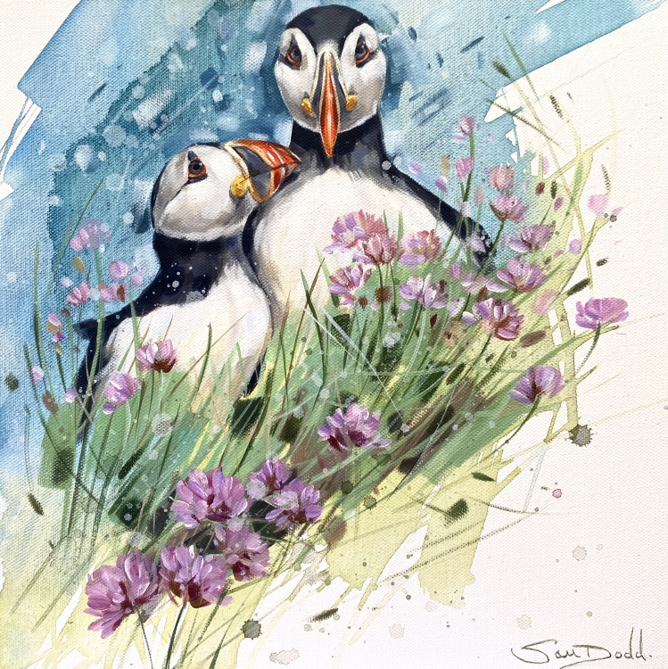 Puffins and Pinks 1