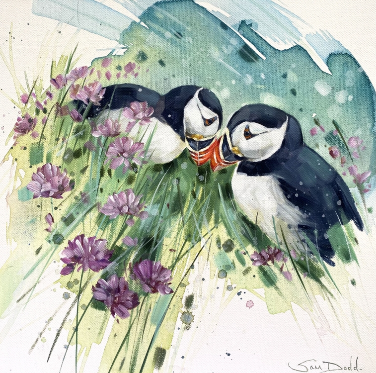 Puffin and Pinks 2