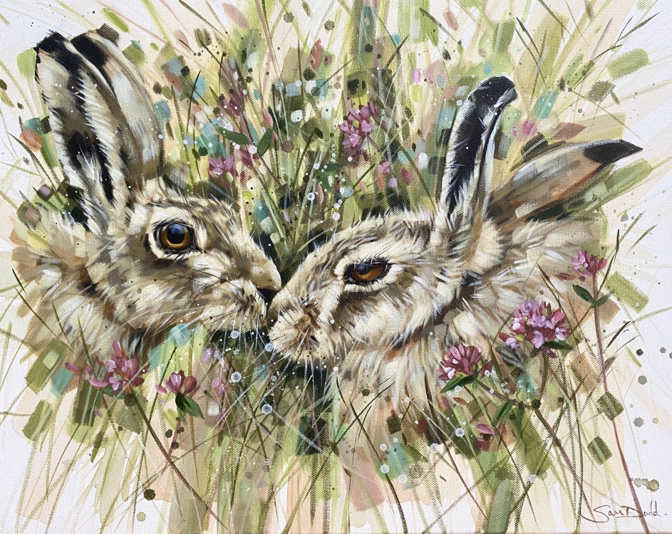 Hare Pair 2