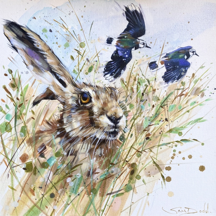 Hare and Lapwings