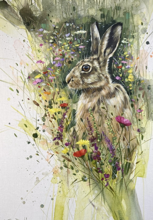 Rainbow Meadow
