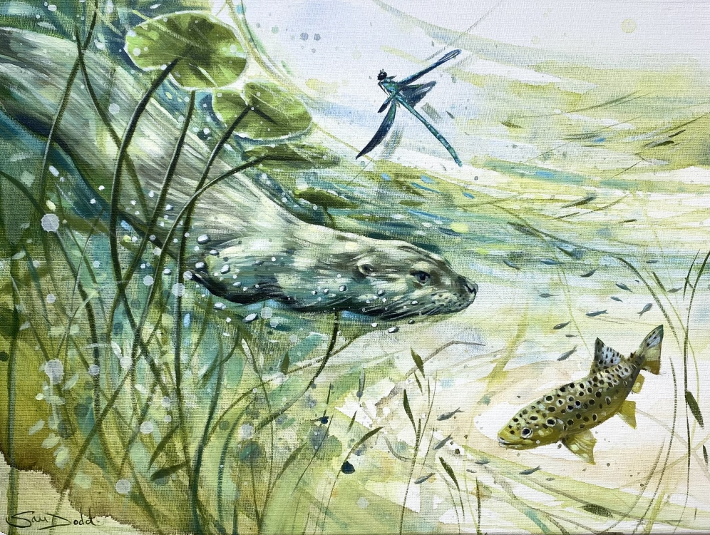 In the Shallows